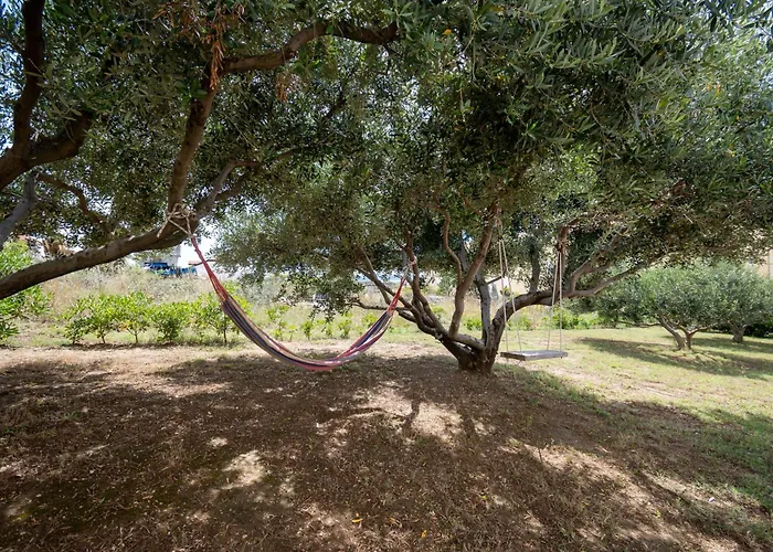 224b פובליאנה